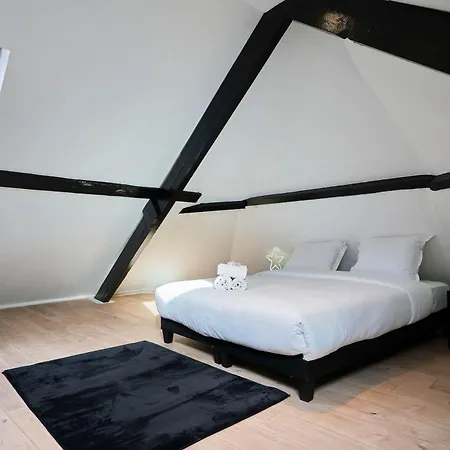 Lejlighed Ng Suitehome - Lille I Centre I Grand Place - Balneo - Netflix - Wifi